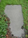 image of grave number 175634